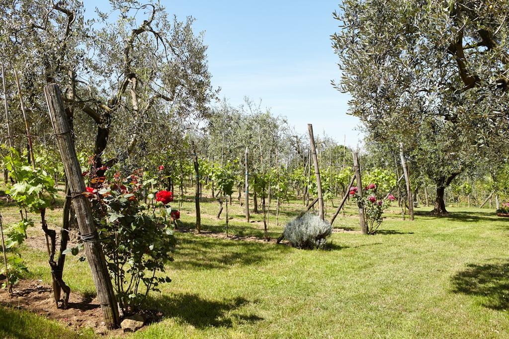 Podere La Casuccia Malmantile Room photo