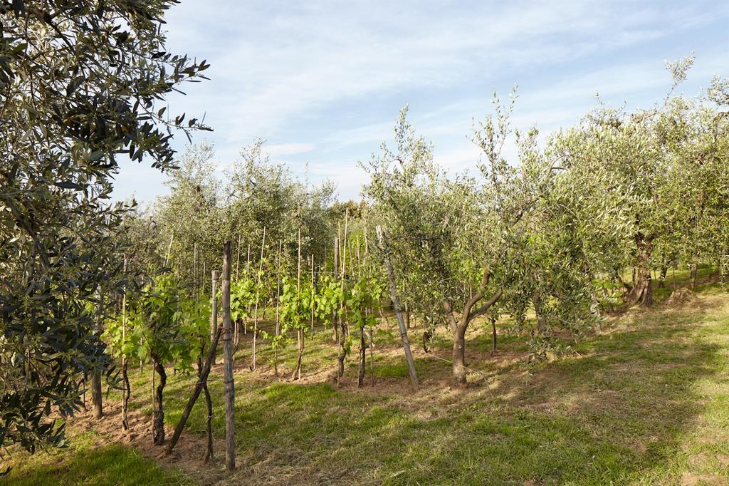 Podere La Casuccia Malmantile Room photo
