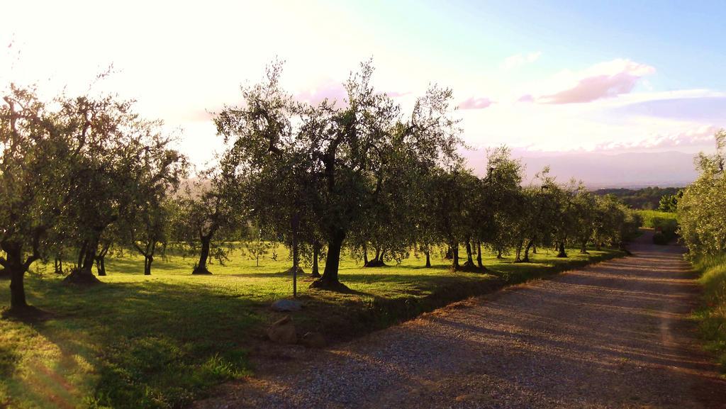 Podere La Casuccia Malmantile Room photo